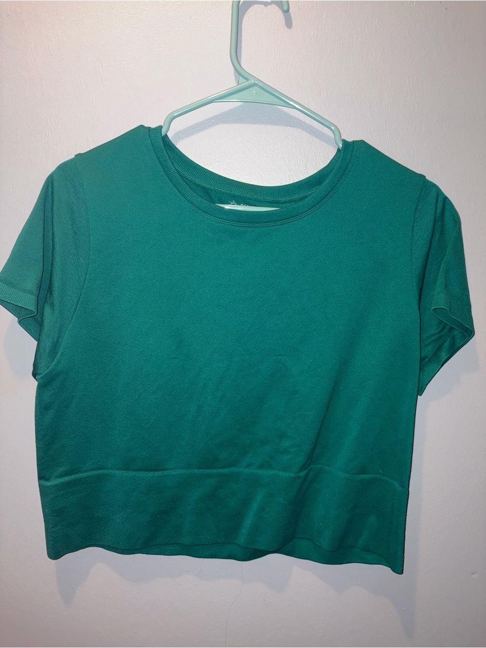 Aerie Cropped Green Short Sleeve Tee